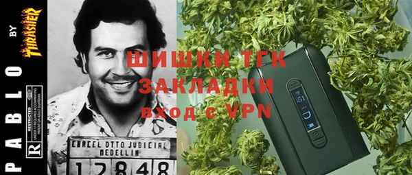 дурь Магас