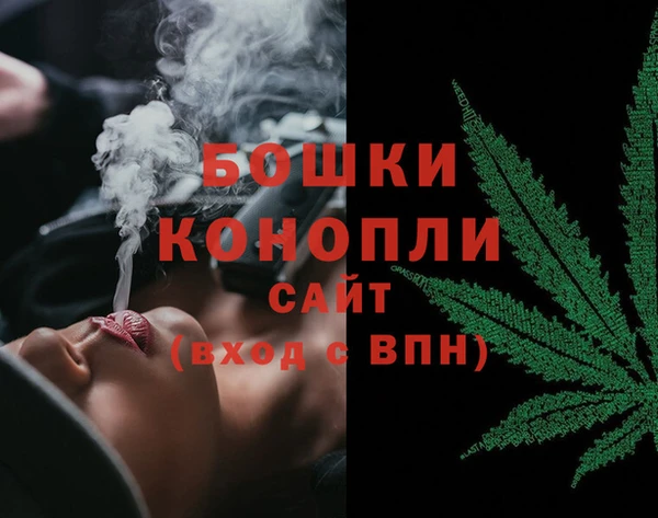 сатива Мегион