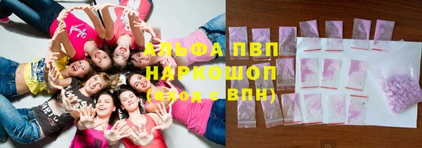 сатива Мегион