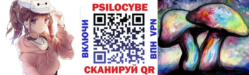 наркошоп  Лермонтов  Псилоцибиновые грибы мицелий 