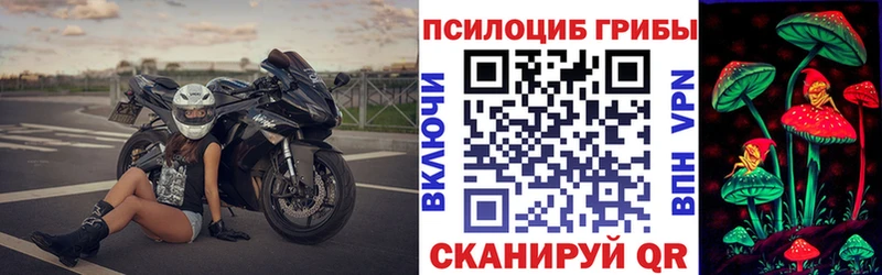 Псилоцибиновые грибы Psilocybine cubensis Лермонтов